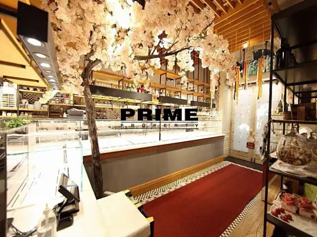 Pronájem obchodního prostoru, Praha - Vinohrady, Italská, 225 m2