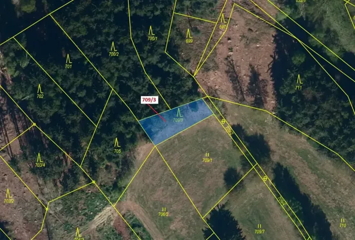 Dražba lesa, Řečice, 350 m2