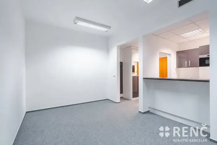 Prodej bytu 2+kk, Brno, Příkop, 70 m2