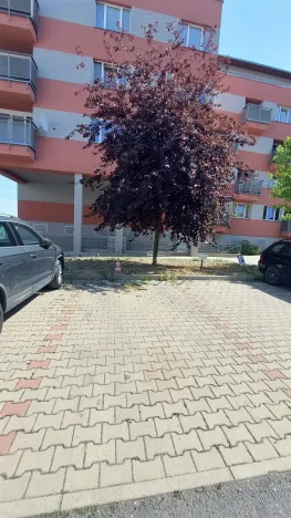 Prodej bytu 2+kk, Kladno, Generála Selnera, 46 m2