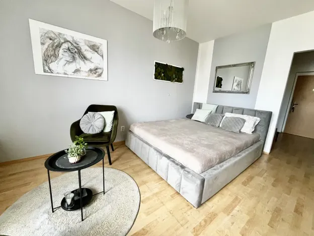 Prodej bytu 1+kk, České Budějovice - České Budějovice 2, Spojovací, 35 m2