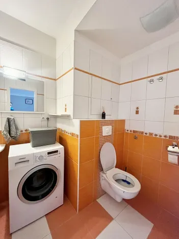 Prodej bytu 1+kk, České Budějovice - České Budějovice 2, Spojovací, 35 m2