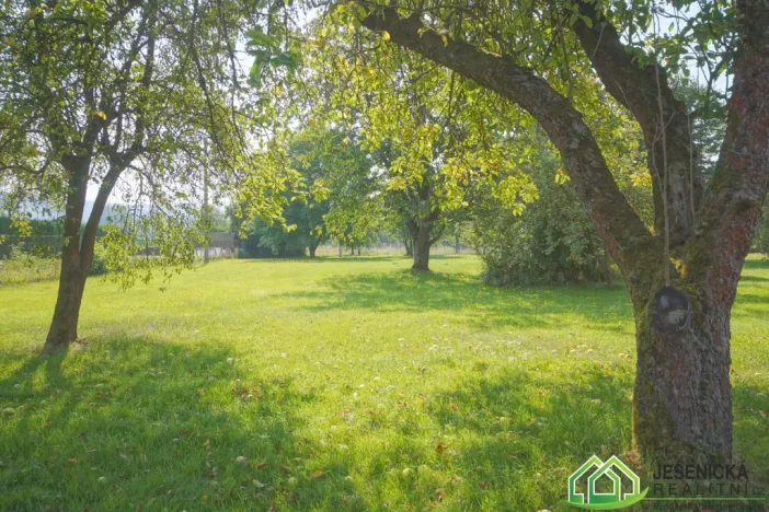 Prodej rodinného domu, Mikulovice, Nábřežní, 358 m2
