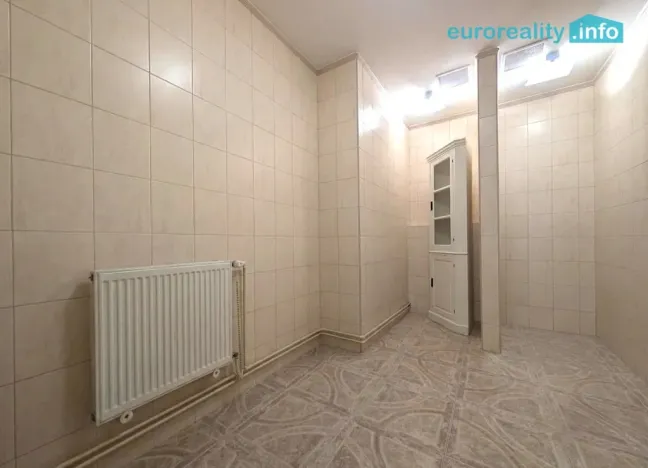 Pronájem obchodního prostoru, Plzeň, Zbrojnická, 30 m2