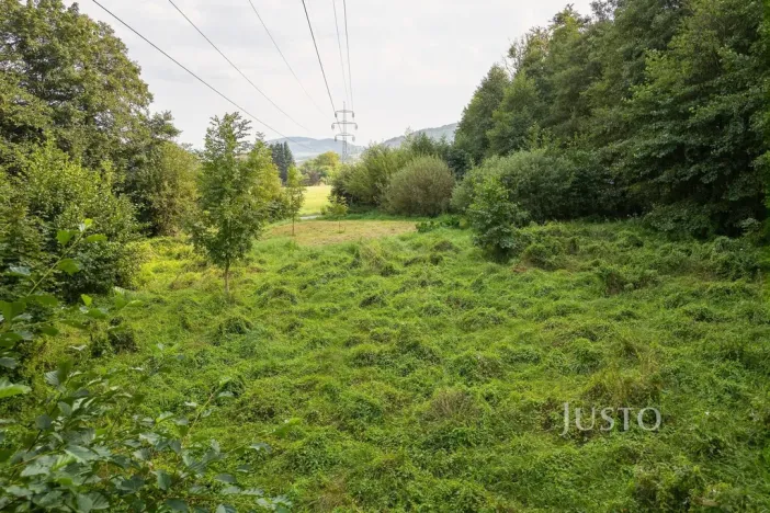 Prodej louky, Liberec - Liberec I-Staré Město, 6759 m2
