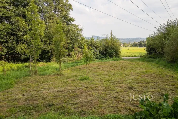 Prodej louky, Liberec - Liberec I-Staré Město, 6759 m2