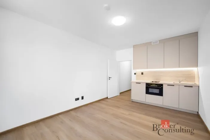 Pronájem bytu 1+kk, Brno - Zábrdovice, Bratislavská, 26 m2