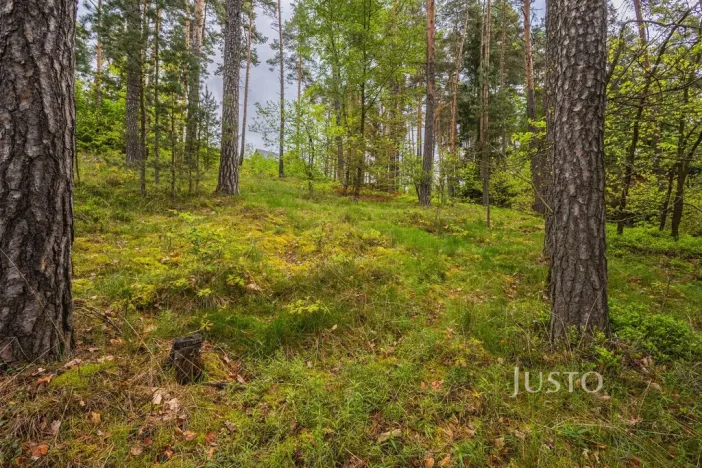 Prodej pozemku pro bydlení, Hamr na Jezeře, Děvínská, 1647 m2