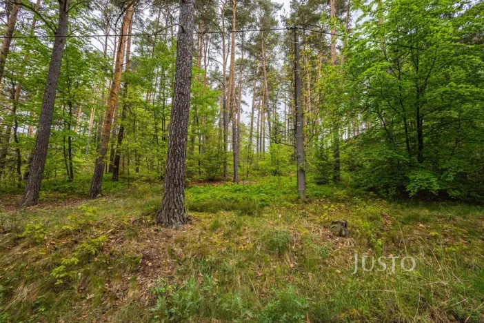 Prodej pozemku pro bydlení, Hamr na Jezeře, Děvínská, 1647 m2