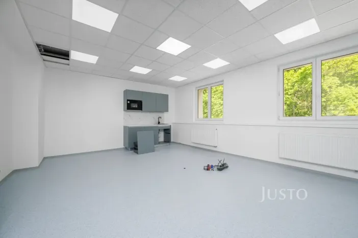 Pronájem ordinace, Liberec - Liberec IV-Perštýn, Dr. Milady Horákové, 30 m2