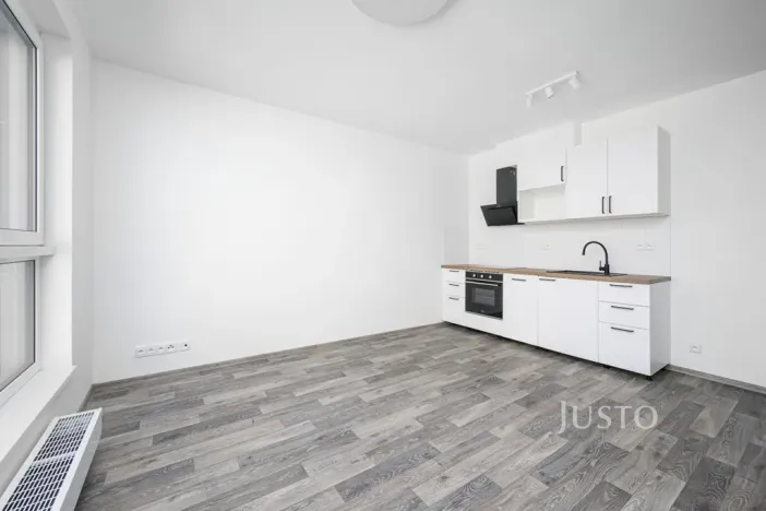 Prodej bytu 2+kk, Liberec - Liberec III-Jeřáb, U Nisy, 49 m2