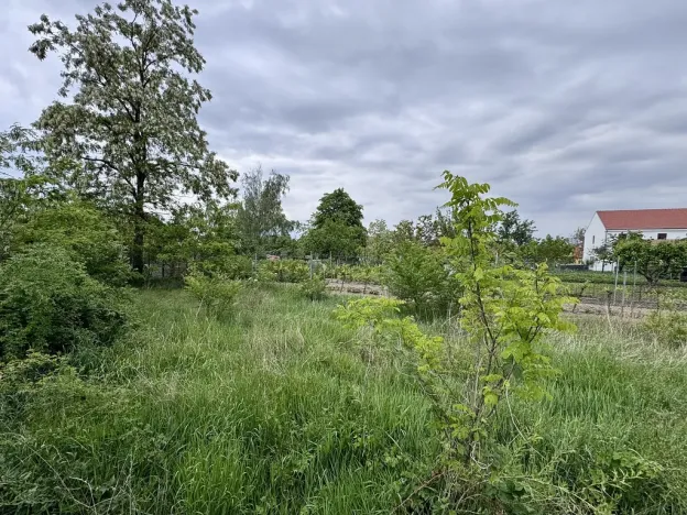 Prodej pozemku, Jevišovka, Nádražní, 750 m2
