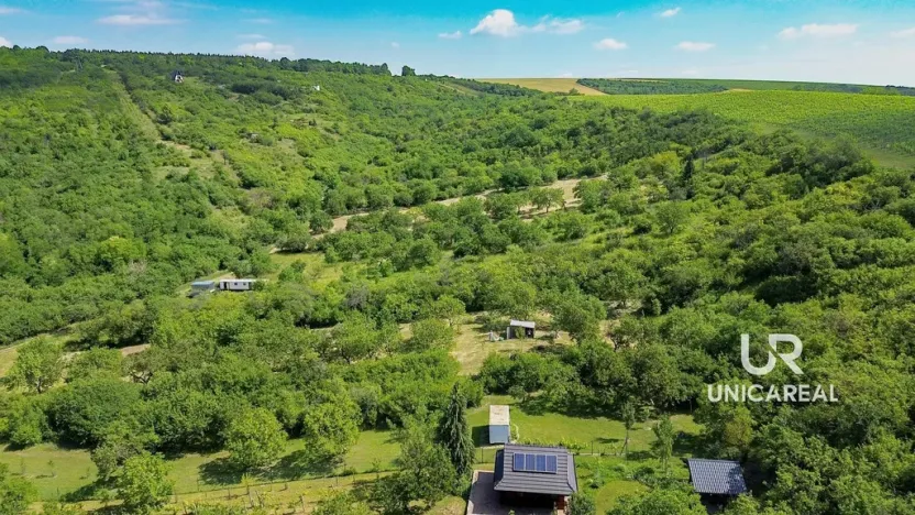 Prodej pole, Židlochovice, 3851 m2