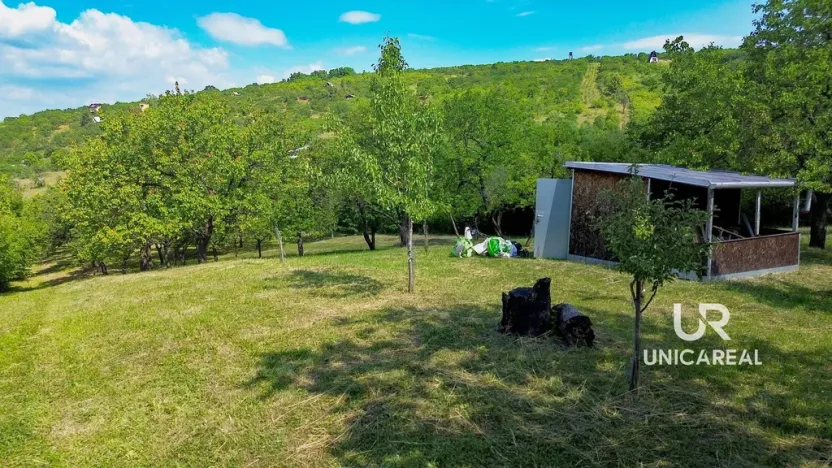 Prodej pole, Židlochovice, 3851 m2