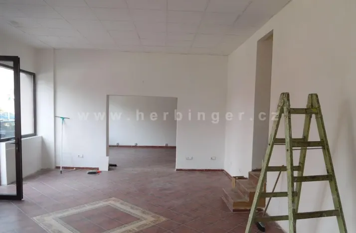 Prodej rodinného domu, Ostrava - Vítkovice, Mírová, 1391 m2
