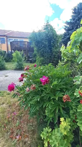 Prodej rodinného domu, Tišice, Hasičská, 150 m2
