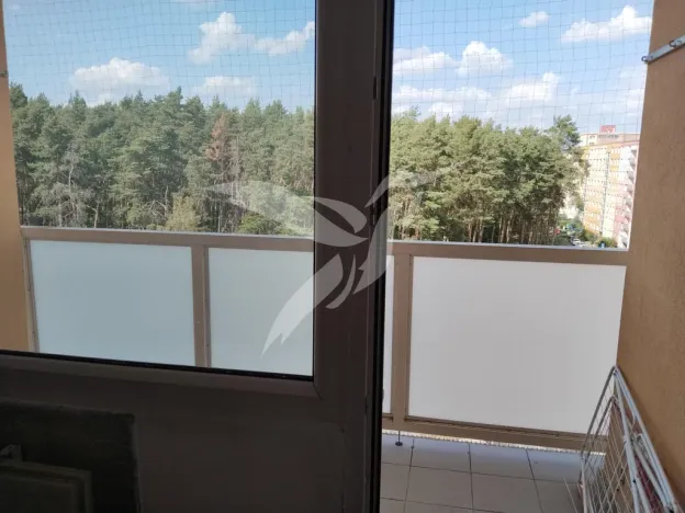 Pronájem bytu 1+1, Plzeň, Tachovská, 38 m2