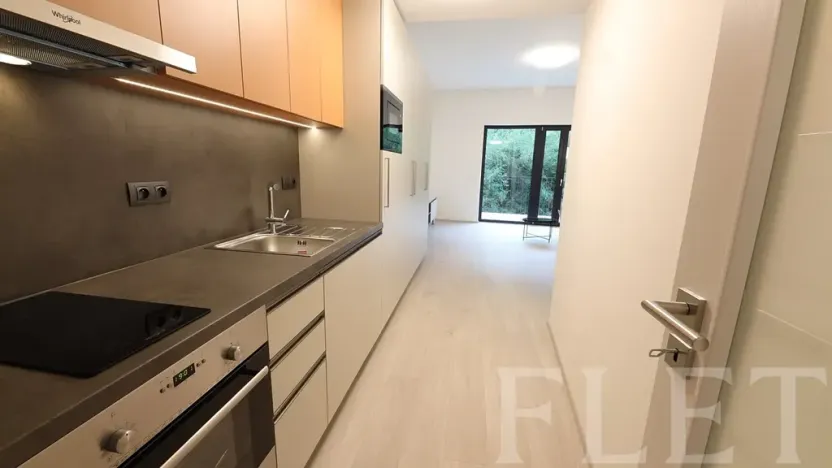 Pronájem bytu 1+kk, Praha - Žižkov, Hartigova, 48 m2