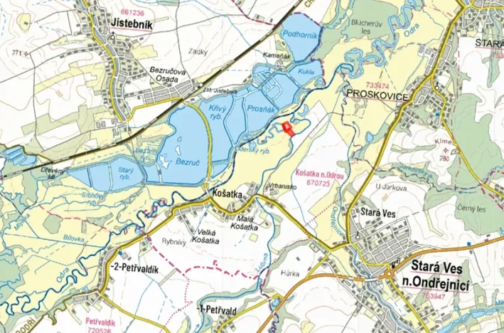 Prodej louky, Stará Ves nad Ondřejnicí, 7303 m2