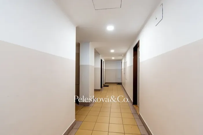 Prodej bytu 2+kk, Dolní Břežany, Za Sídlištěm, 58 m2