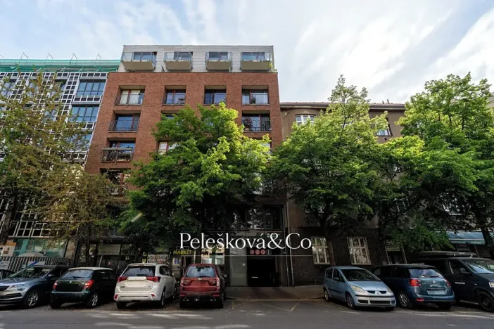 Prodej bytu 2+kk, Praha - Holešovice, Na Maninách, 52 m2