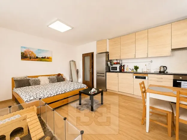Pronájem bytu 1+kk, Slavkov u Brna, 31 m2