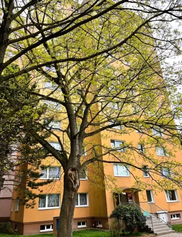 Prodej bytu 1+1, Liberec, 39 m2