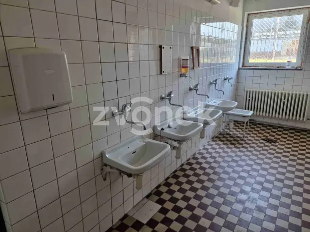 Pronájem komerční nemovitosti, Kunovice, Na Záhonech, 250 m2