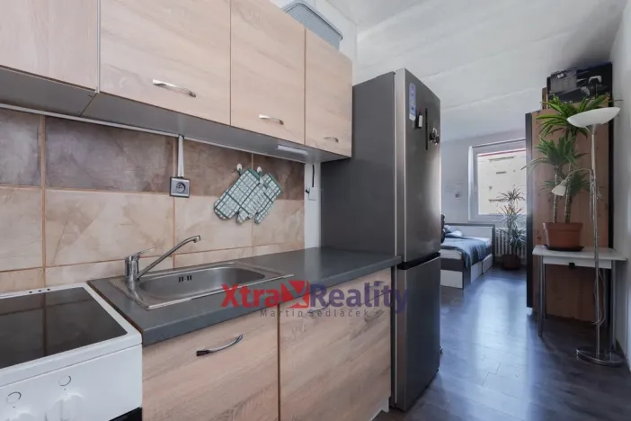 Prodej bytu 1+kk, Teplice - Trnovany, Krušnohorská, 32 m2