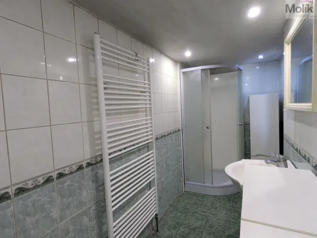 Prodej rodinného domu, Litvínov - Horní Ves, 252 m2