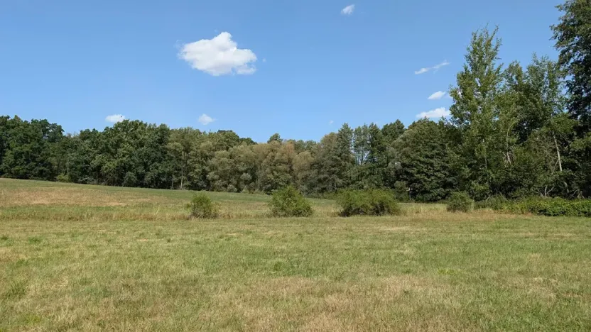 Prodej zahrady, Bukovec, 863 m2