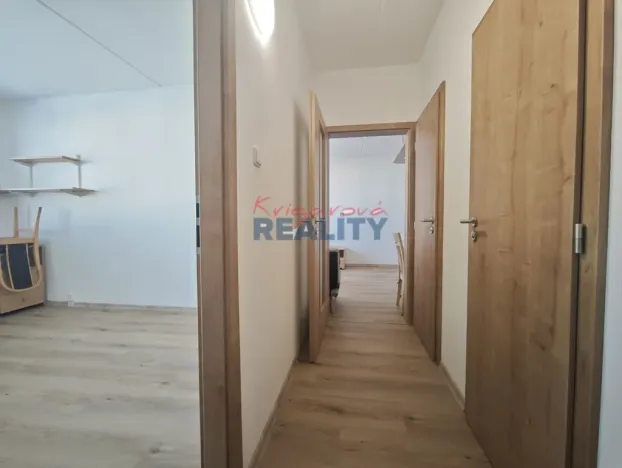 Pronájem bytu 1+1, České Budějovice - České Budějovice 2, N. Frýda, 42 m2
