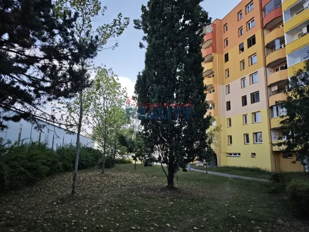 Pronájem bytu 1+1, České Budějovice - České Budějovice 2, N. Frýda, 42 m2