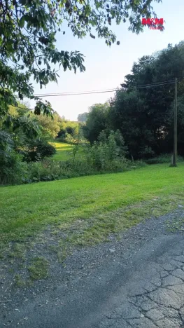Prodej pozemku pro bydlení, Světlá Hora - Dětřichovice, 3506 m2