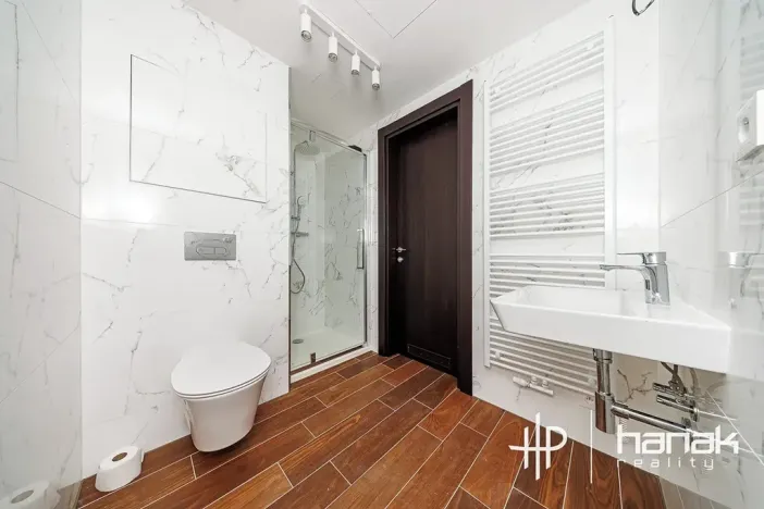 Pronájem bytu 1+kk, Olomouc, Třída Jiřího Pelikána, 33 m2