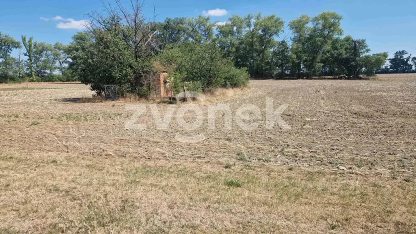 Prodej pozemku pro bydlení, Veselí nad Moravou, Topolová, 598 m2