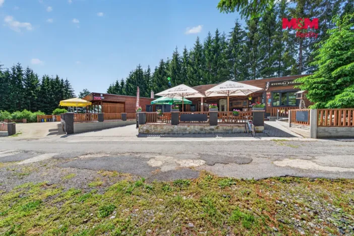 Prodej ubytování, Nová Bystřice - Albeř, 259 m2