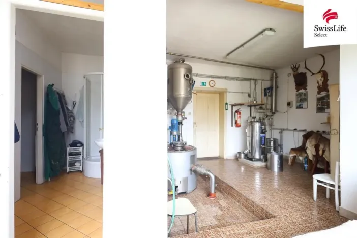 Prodej vícegeneračního domu, Telč - Telč-Podolí, Tyršova, 432 m2