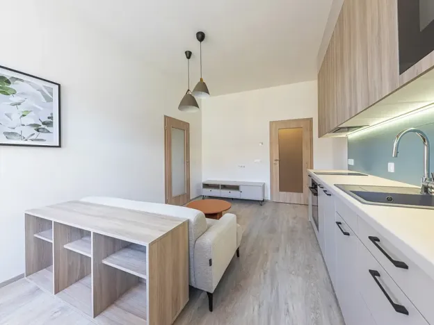 Pronájem bytu 2+kk, Praha - Nusle, Svatoslavova, 49 m2