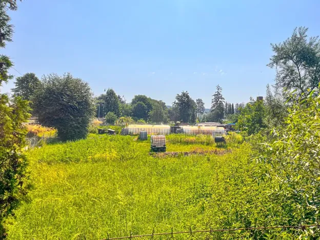 Pronájem zahrady, Dolní Bousov, 500 m2