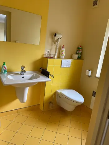 Prodej ubytování, Frýdlant nad Ostravicí, Harcovská, 500 m2