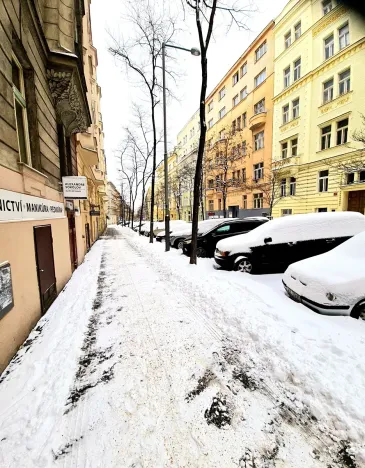 Pronájem pokoje, Praha - Vinohrady, Mánesova, 14 m2