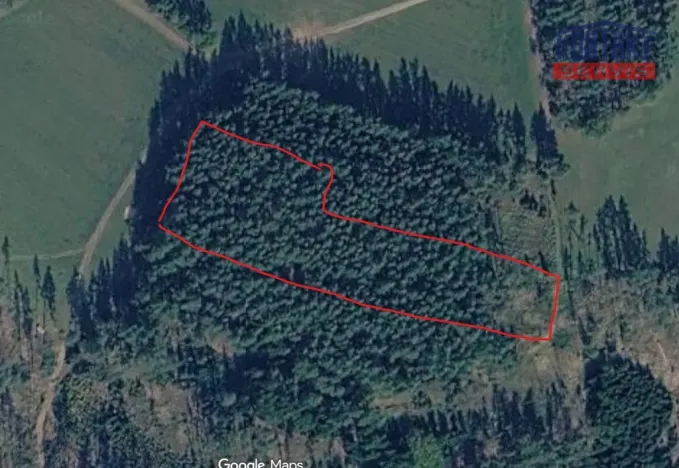 Prodej lesa, Želiv - Vřesník, 9639 m2