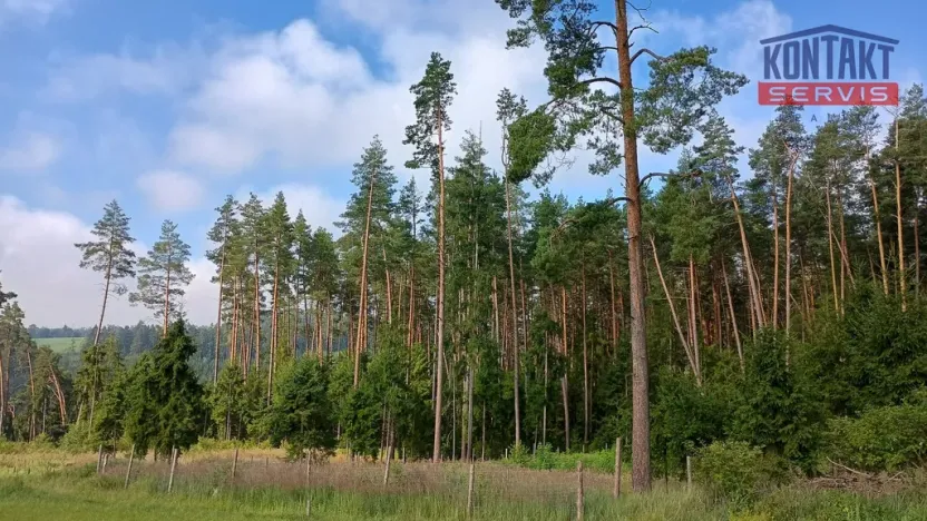 Prodej lesa, Želiv - Vřesník, 9639 m2