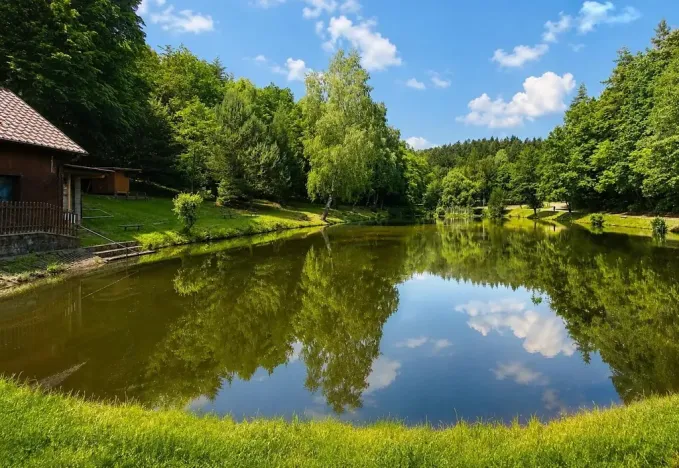 Prodej chaty, Olšany, 40 m2
