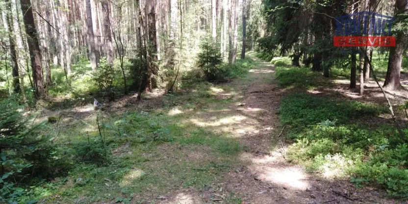 Prodej lesa, Hromnice - Chotiná, 41358 m2