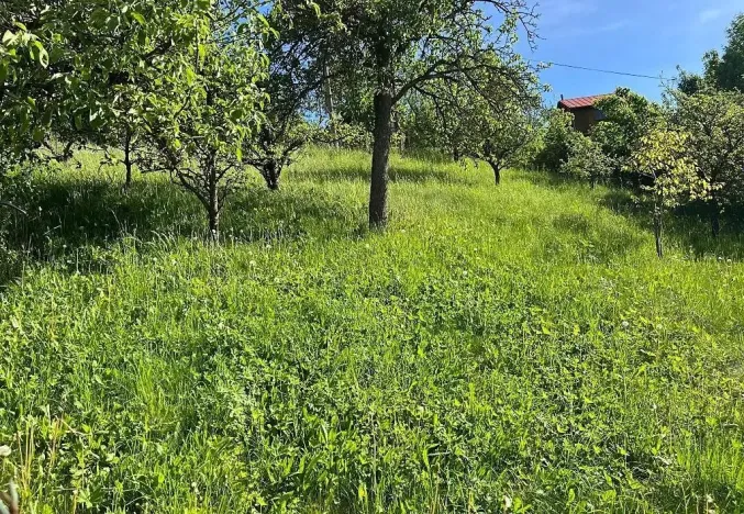 Prodej rodinného domu, Vítějeves, 329 m2
