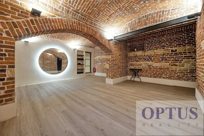 Pronájem bytu 6+kk a větší, Praha - Staré Město, Dušní, 380 m2
