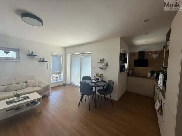 Pronájem bytu 3+kk, Most, Mátová, 89 m2