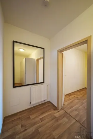 Pronájem bytu 1+kk, Olomouc, Sokolovská, 51 m2